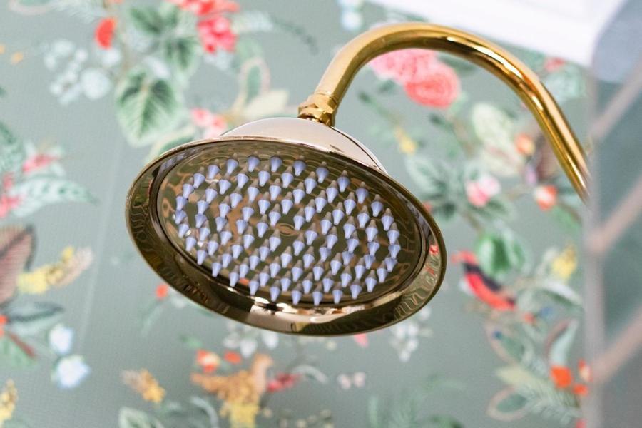 Hotellerie Het Wapen Van Athlone De Steeg Ngoại thất bức ảnh